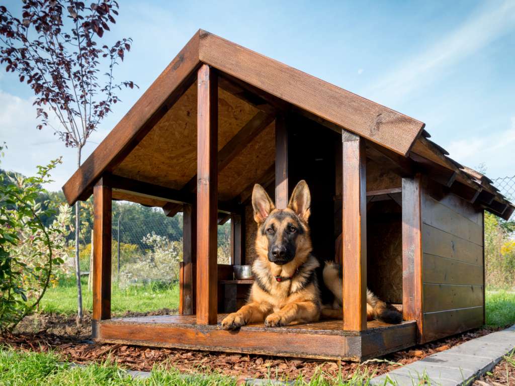 Is It Okay for a German Shepherd to Live Outside?