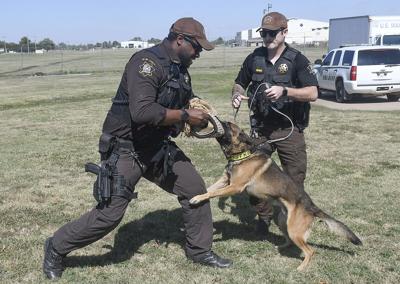 How long does it take to train a German Shepherd for police work? 